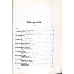 Wizerunki książąt i królów polskich. T.1: Książęta i królowie dynastyczni. T.2: Królowie elekcyjni. 2vol