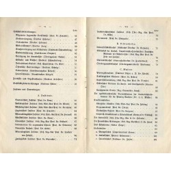 Führer durch Halle a.d.S. und seine staatlichen und städtischen Einrichtungen und Anstalten
