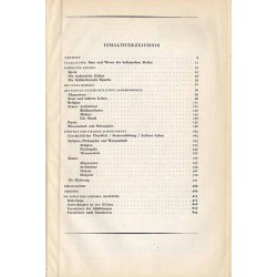 Die Kultur der Griechen