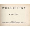 Wielkopolska w obrazach