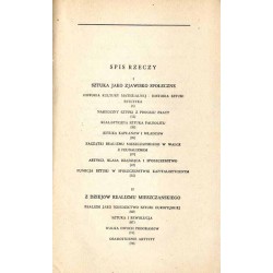 Sztuka w świetle historii. Studia z metodologii historii sztuki