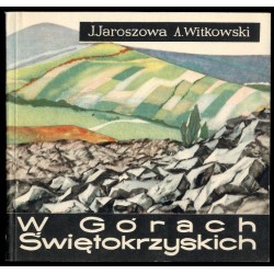W Górach Świętokrzyskich