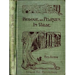 Im Walde. Bilder aus der Pflanzenwelt. Unter Berücksichtigung des Lebens, der Verwendung und der Geschichte der Pflanzen für Sch