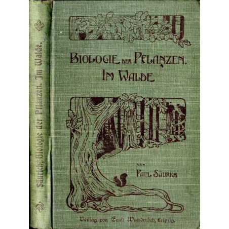 Im Walde. Bilder aus der Pflanzenwelt. Unter Berücksichtigung des Lebens, der Verwendung und der Geschichte der Pflanzen für Sch