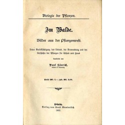 Im Walde. Bilder aus der Pflanzenwelt. Unter Berücksichtigung des Lebens, der Verwendung und der Geschichte der Pflanzen für Sch