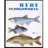 Ryby słodkowodne