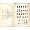 Mięczaki mioceńskie ziem polskich (Mollusca miocenica Poloniae). Cz.1: Ślimaki. Z. 1