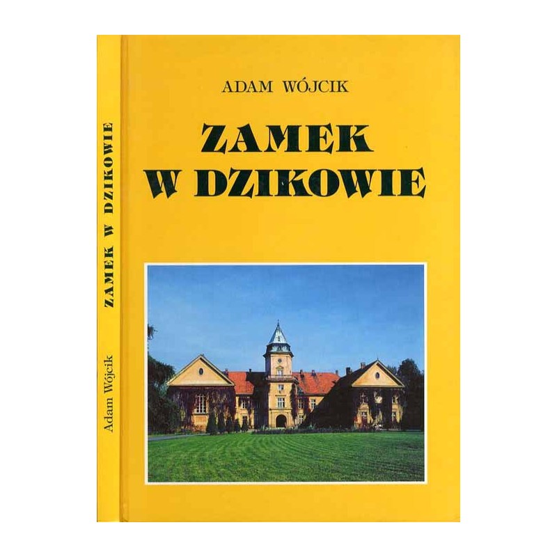 Zamek w Dzikowie. Wiek XX