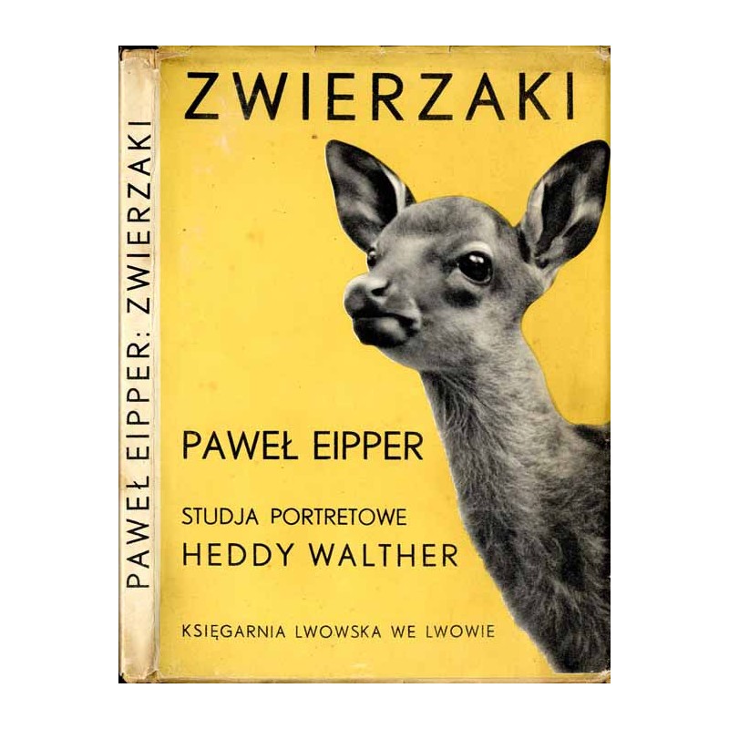 Zwierzaki