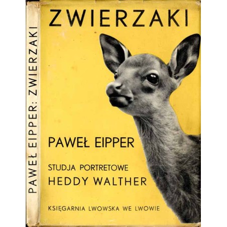 Zwierzaki