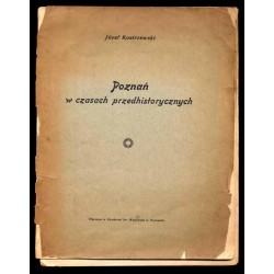 Poznań w czasach przedhistorycznych. Przegląd dziejów miasta Poznania