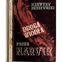 Droga wiodła przez Narvik. Powieść