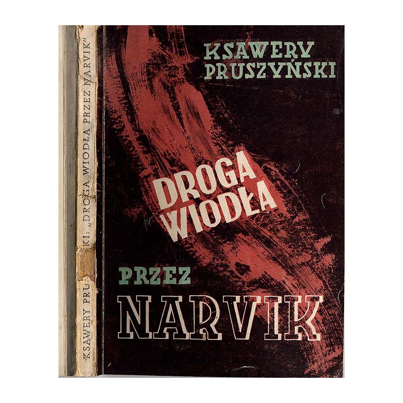 Droga wiodła przez Narvik. Powieść
