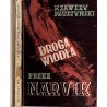 Droga wiodła przez Narvik. Powieść