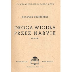 Droga wiodła przez Narvik. Powieść