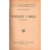 Wierzby i bruk