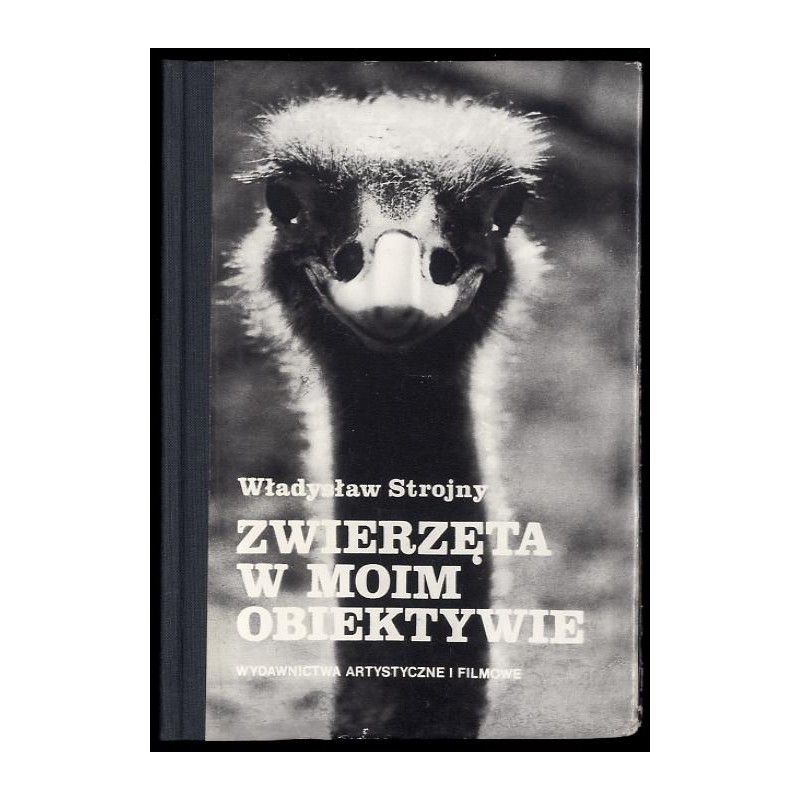 Zwierzęta w moim obiektywie