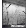 Marek Szczęsny, Muzeum Narodowe w Poznaniu, lipiec-sierpień 2003