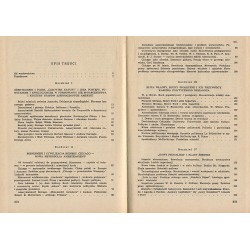 Kultura amerykańska. Formowanie się kultury narodowej w Stanach Zjednoczonych Ameryki