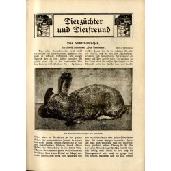 Unser Garten. Ein Führer durch Haus, Garten u. Tierhaltung. 6. Jahrgang (1914)