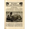 Unser Garten. Ein Führer durch Haus, Garten u. Tierhaltung. 6. Jahrgang (1914)