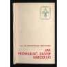 Jak prowadzić zastęp harcerski (Metodyka pracy w zastępie)