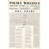 Polska Walcząca - Żołnierz Polski na Obczyźnie. Fighting Poland. Weekly for the Polish Forces. R.7 (1945). Nr 49 (15 grudnia 194