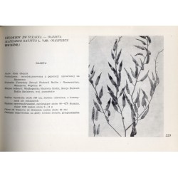 Katalog odmian roślin rolniczych