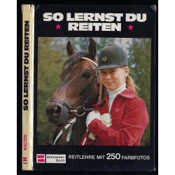 So lernst du reiten