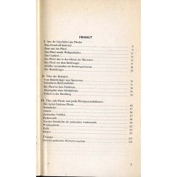Dies und jenes über Pferde und Pferdesport für deutschlernende Pferdefreunde