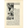 Die Säugetiere des deutschen Waldes. Mit zahlreichen Abbildungen nach Originalzeichnungen von E. Arndt, Rich. Friese, J. Michel,