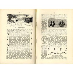 Die Säugetiere des deutschen Waldes. Mit zahlreichen Abbildungen nach Originalzeichnungen von E. Arndt, Rich. Friese, J. Michel,