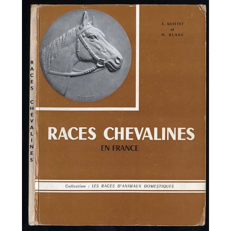 Races chevalines en France
