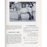 Races chevalines en France
