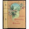 Himmelsflug und Erdenfahrt ein Bilderbuch nach Dichterart