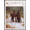 Jazdectwo. Miesięcznik. R.34 (1986). Nr 1-12 (komplet)