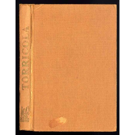 Torricola. Powieść