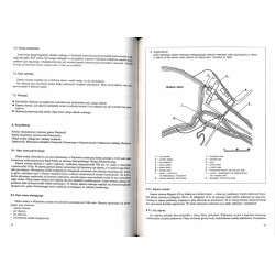 Historyczne budowle wodno-energetyczne dorzecza Kamiennej i ocena możliwości budowy nowych elektrowni wodnych  Historical water