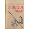 Cedynia w czasach Mieszka I