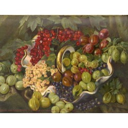 Der Lehrmeister im Garten und Kleintierhof. 6. Jahrgang (1908). Nr 1-52