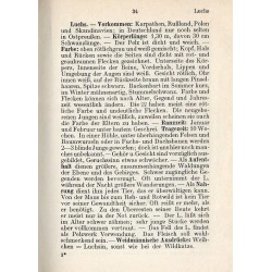 Die Wildlebenden Säugetiere Mitteleuropas