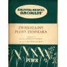Zwiększajmy plony ziemniaka