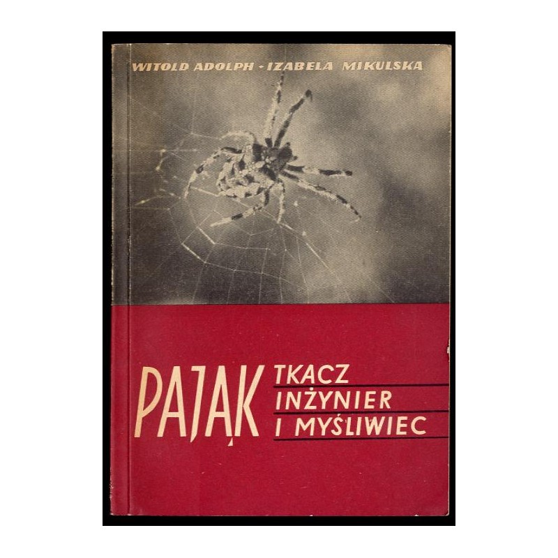 Pająk-tkacz inżynier i myśliwiec