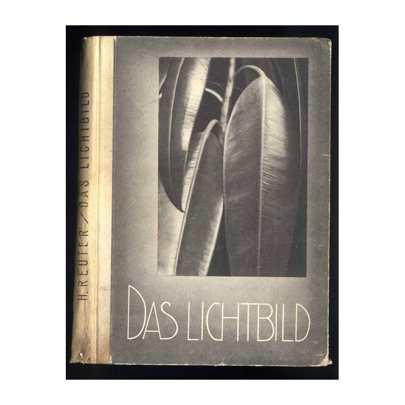 Das Lichtbild. Meisterbilder der Photographie