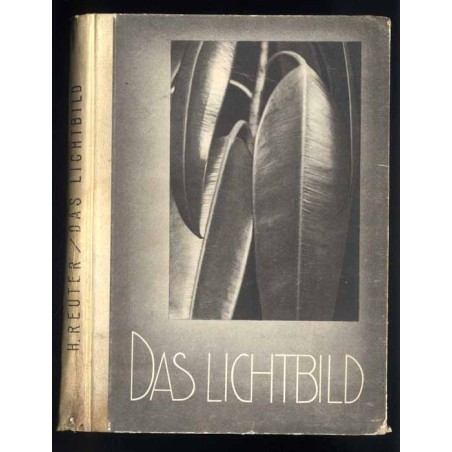 Das Lichtbild. Meisterbilder der Photographie