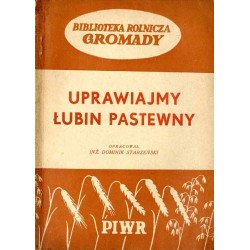 Uprawiajmy łubin pastewny