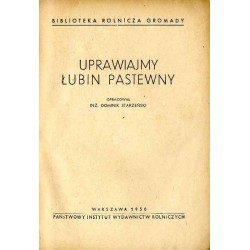 Uprawiajmy łubin pastewny
