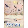 Tęcza. Ilustrowane pismo tygodniowe. R.3 (1929). Z. 6 (9 lutego 1929) / Ludwik Misky / Kazimiera Iłłakiewiczówna / Ankara Turcja