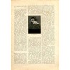 Tęcza. Ilustrowane pismo tygodniowe. R.3 (1929). Z. 6 (9 lutego 1929) / Ludwik Misky / Kazimiera Iłłakiewiczówna / Ankara Turcja
