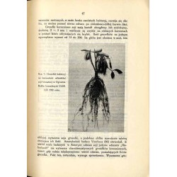 Soja. Jej historja, znaczenie gospodarcze, uprawa, użytkowanie oraz dotychczasowe wyniki uprawy w Polsce